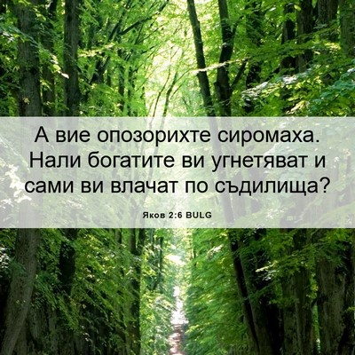 Picture 06 - Яков 2:6 BULG - А вие опозорихте сиромаха. - Bible Verse Picture