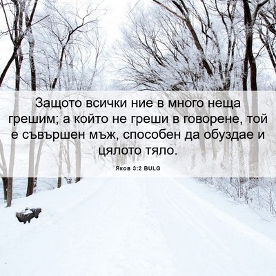 Picture 06 - Яков 3:2 BULG - Защото всички ние в много - Bible Verse Picture