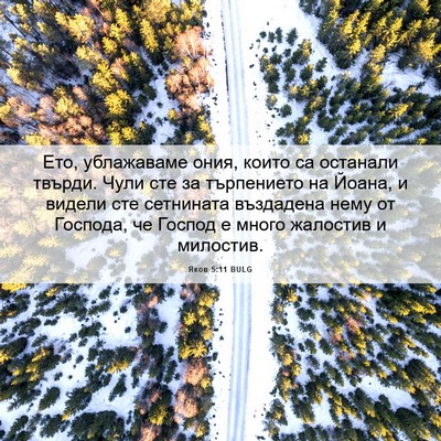 Picture 06 - Яков 5:11 BULG - Ето, ублажаваме ония, които - Bible Verse Picture