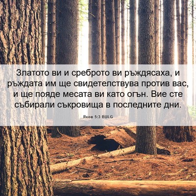 Picture 06 - Яков 5:3 BULG - Златото ви и среброто ви - Bible Verse Picture