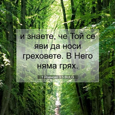 Picture 07 - 1 Йоаново 3:5 BULG - и знаете, че Той се яви да - Bible Verse Picture