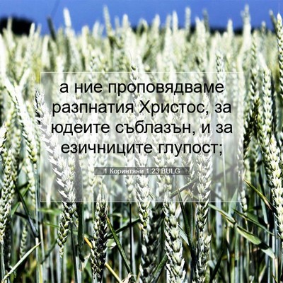 Picture 07 - 1 Коринтяни 1:23 BULG - а ние проповядваме - Bible Verse Picture