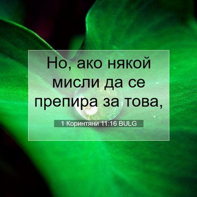 Picture 07 - 1 Коринтяни 11:16 BULG - Но, ако някой мисли да се - Bible Verse Picture