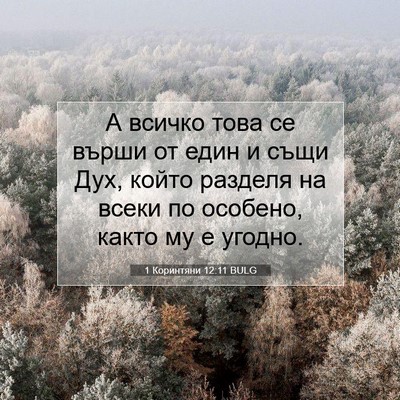 Picture 07 - 1 Коринтяни 12:11 BULG - А всичко това се върши от - Bible Verse Picture