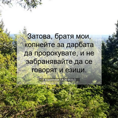 Picture 07 - 1 Коринтяни 14:39 BULG - Затова, братя мои, копнейте - Bible Verse Picture