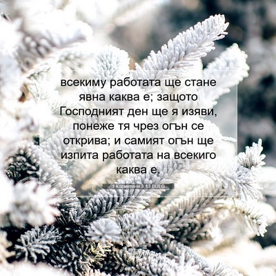 Picture 07 - 1 Коринтяни 3:13 BULG - всекиму работата ще стане - Bible Verse Picture
