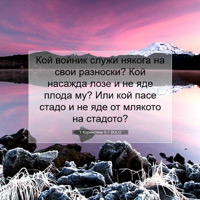 Picture 07 - 1 Коринтяни 9:7 BULG - Кой войник служи някога на - Bible Verse Picture