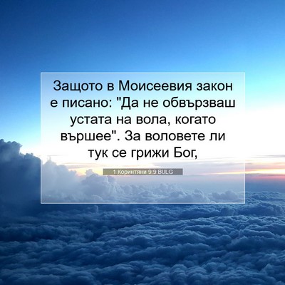 Picture 07 - 1 Коринтяни 9:9 BULG - Защото в Моисеевия закон е - Bible Verse Picture