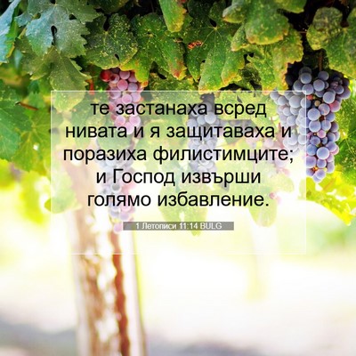 Picture 07 - 1 Летописи 11:14 BULG - те застанаха всред нивата - Bible Verse Picture