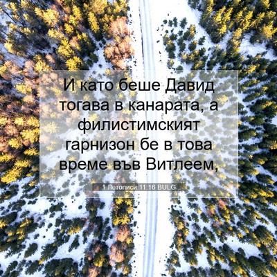 Picture 07 - 1 Летописи 11:16 BULG - И като беше Давид тогава в - Bible Verse Picture