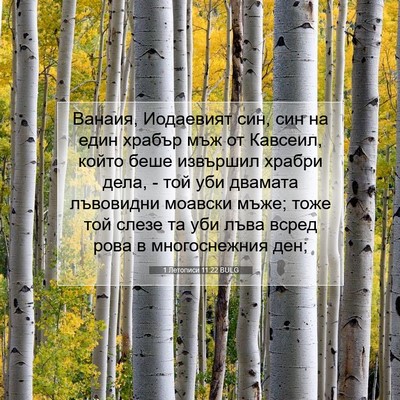Picture 07 - 1 Летописи 11:22 BULG - Ванаия, Иодаевият син, син - Bible Verse Picture
