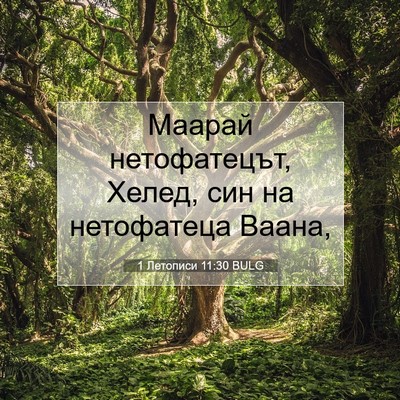 Picture 07 - 1 Летописи 11:30 BULG - Маарай нетофатецът, Хелед, - Bible Verse Picture