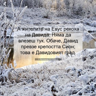 Picture 07 - 1 Летописи 11:5 BULG - А жителите на Евус рекоха - Bible Verse Picture