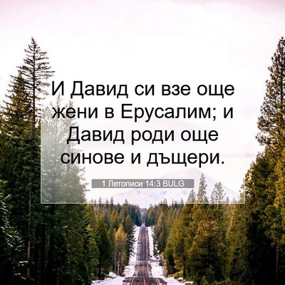 Picture 07 - 1 Летописи 14:3 BULG - И Давид си взе още жени в - Bible Verse Picture