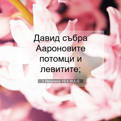 Picture 07 - 1 Летописи 15:4 BULG - Давид събра Аароновите - Bible Verse Picture