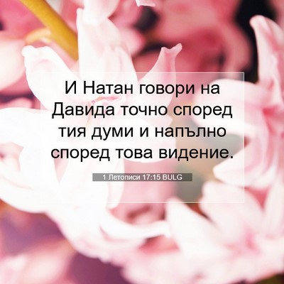 Picture 07 - 1 Летописи 17:15 BULG - И Натан говори на Давида - Bible Verse Picture