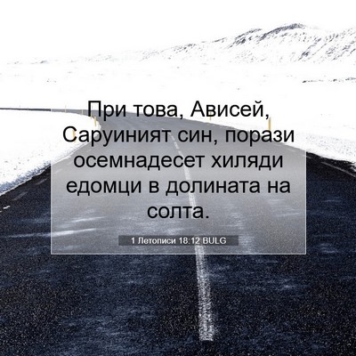 Picture 07 - 1 Летописи 18:12 BULG - При това, Ависей, Саруиният - Bible Verse Picture