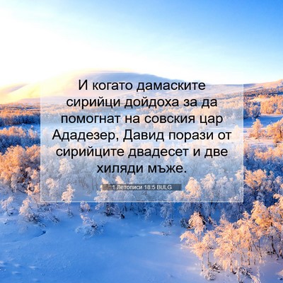 Picture 07 - 1 Летописи 18:5 BULG - И когато дамаските сирийци - Bible Verse Picture