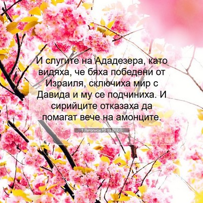 Picture 07 - 1 Летописи 19:19 BULG - И слугите на Ададезера, - Bible Verse Picture