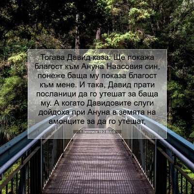 Picture 07 - 1 Летописи 19:2 BULG - Тогава Давид каза: Ще - Bible Verse Picture