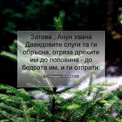 Picture 07 - 1 Летописи 19:4 BULG - Затова , Анун хвана - Bible Verse Picture