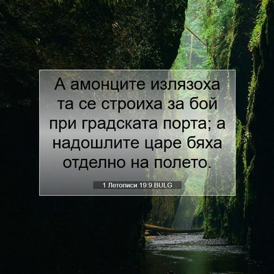 Picture 07 - 1 Летописи 19:9 BULG - А амонците излязоха та се - Bible Verse Picture