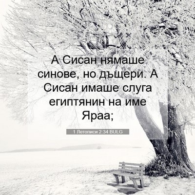 Picture 07 - 1 Летописи 2:34 BULG - А Сисан нямаше синове, но - Bible Verse Picture