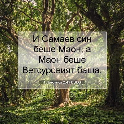 Picture 07 - 1 Летописи 2:45 BULG - И Самаев син беше Маон; а - Bible Verse Picture