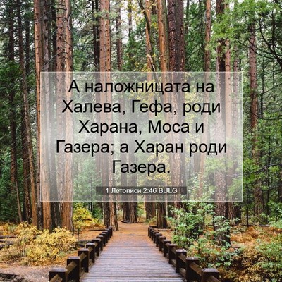 Picture 07 - 1 Летописи 2:46 BULG - А наложницата на Халева, - Bible Verse Picture