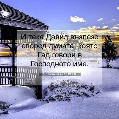 Picture 07 - 1 Летописи 21:19 BULG - И така Давид възлезе - Bible Verse Picture