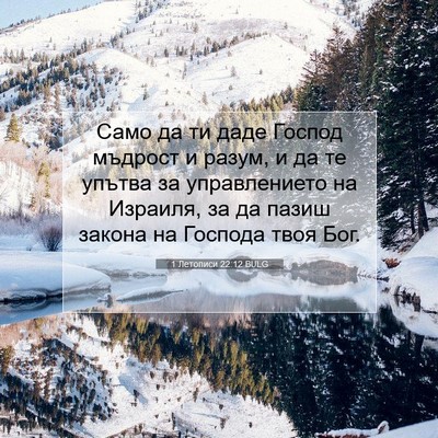 Picture 07 - 1 Летописи 22:12 BULG - Само да ти даде Господ - Bible Verse Picture
