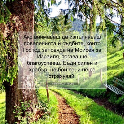 Picture 07 - 1 Летописи 22:13 BULG - Ако внимаваш да изпълняваш - Bible Verse Picture