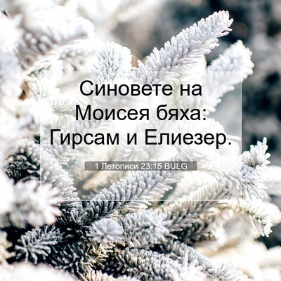 Picture 07 - 1 Летописи 23:15 BULG - Синовете на Моисея бяха: - Bible Verse Picture