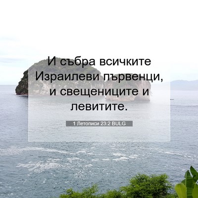 Picture 07 - 1 Летописи 23:2 BULG - И събра всичките Израилеви - Bible Verse Picture
