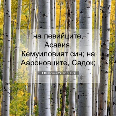 Picture 07 - 1 Летописи 27:17 BULG - на левийците, Асавия, - Bible Verse Picture