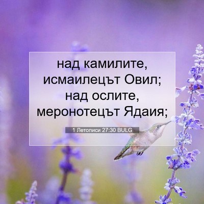 Picture 07 - 1 Летописи 27:30 BULG - над камилите, исмаилецът - Bible Verse Picture