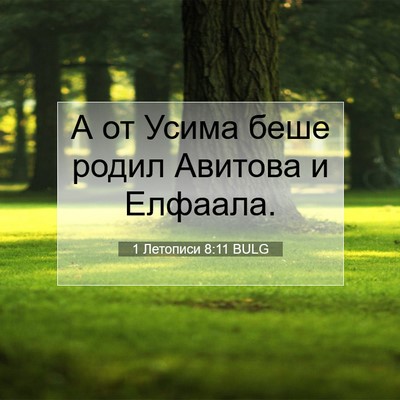 Picture 07 - 1 Летописи 8:11 BULG - А от Усима беше родил - Bible Verse Picture