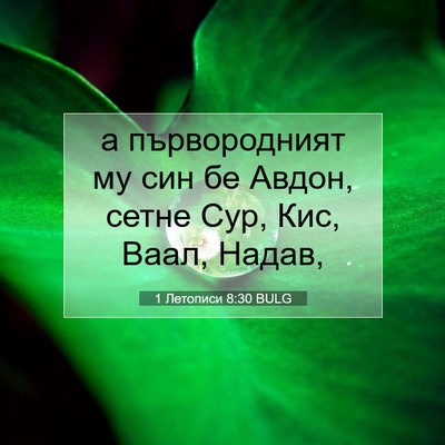 Picture 07 - 1 Летописи 8:30 BULG - а първородният му син бе - Bible Verse Picture