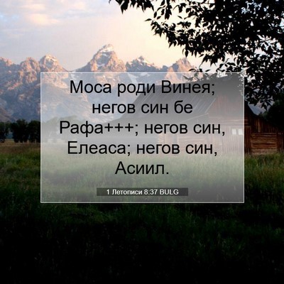 Picture 07 - 1 Летописи 8:37 BULG - Моса роди Винея; негов син - Bible Verse Picture