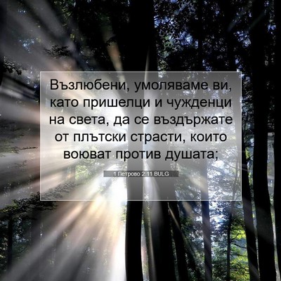 Picture 07 - 1 Петрово 2:11 BULG - Възлюбени, умоляваме ви, - Bible Verse Picture