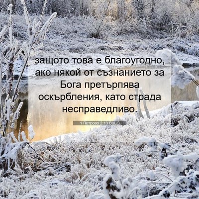 Picture 07 - 1 Петрово 2:19 BULG - защото това е благоугодно, - Bible Verse Picture