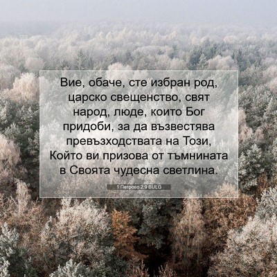 Picture 07 - 1 Петрово 2:9 BULG - Вие, обаче, сте избран род, - Bible Verse Picture
