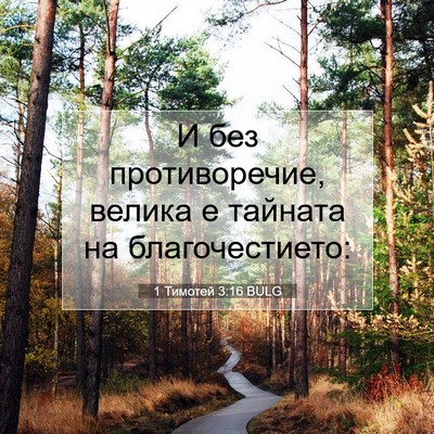Picture 07 - 1 Тимотей 3:16 BULG - И без противоречие, велика - Bible Verse Picture