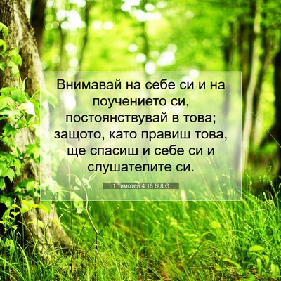 Picture 07 - 1 Тимотей 4:16 BULG - Внимавай на себе си и на - Bible Verse Picture