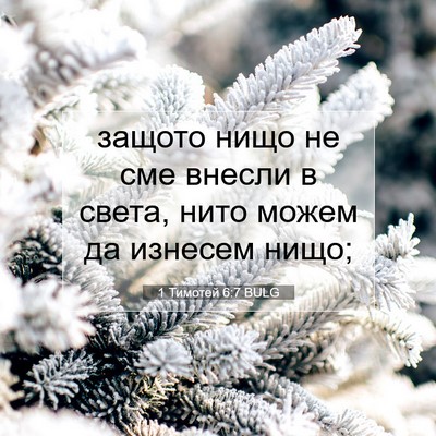 Picture 07 - 1 Тимотей 6:7 BULG - защото нищо не сме внесли в - Bible Verse Picture