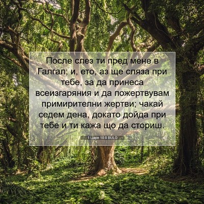 Picture 07 - 1 Царе 10:8 BULG - После слез ти пред мене в - Bible Verse Picture