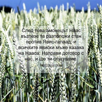 Picture 07 - 1 Царе 11:1 BULG - След това амонецът Наас - Bible Verse Picture