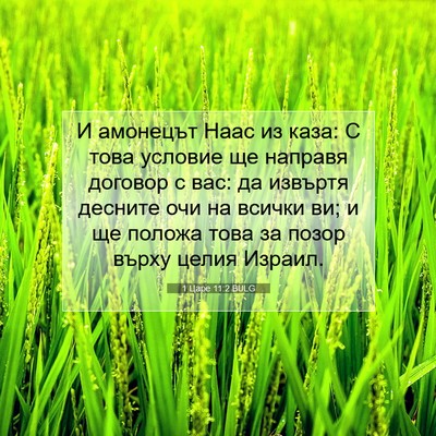 Picture 07 - 1 Царе 11:2 BULG - И амонецът Наас из каза: С - Bible Verse Picture