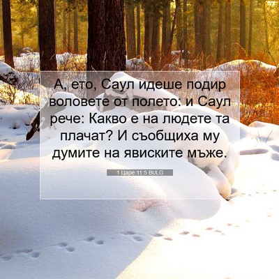 Picture 07 - 1 Царе 11:5 BULG - А, ето, Саул идеше подир - Bible Verse Picture