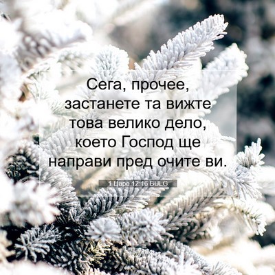 Picture 07 - 1 Царе 12:16 BULG - Сега, прочее, застанете та - Bible Verse Picture